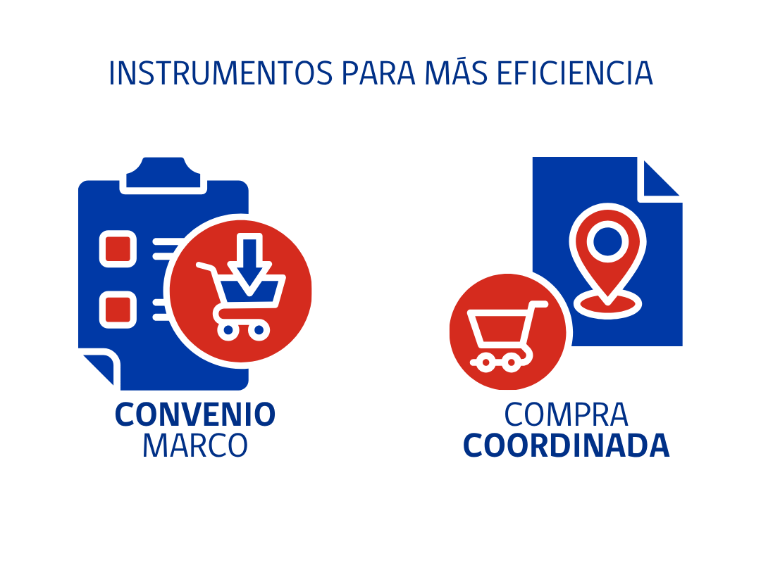 INSTRUMENTOS EFICIENCIA