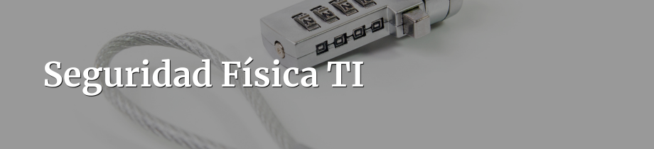 Seguridad Física TI